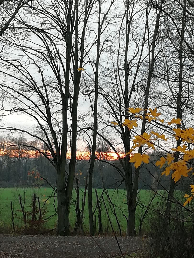Herbstlicher Sonnenuntergang 