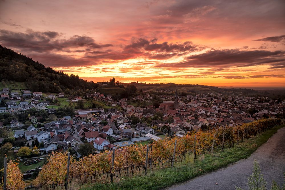 **HERBSTLICHER SONNENUNTERGANG**