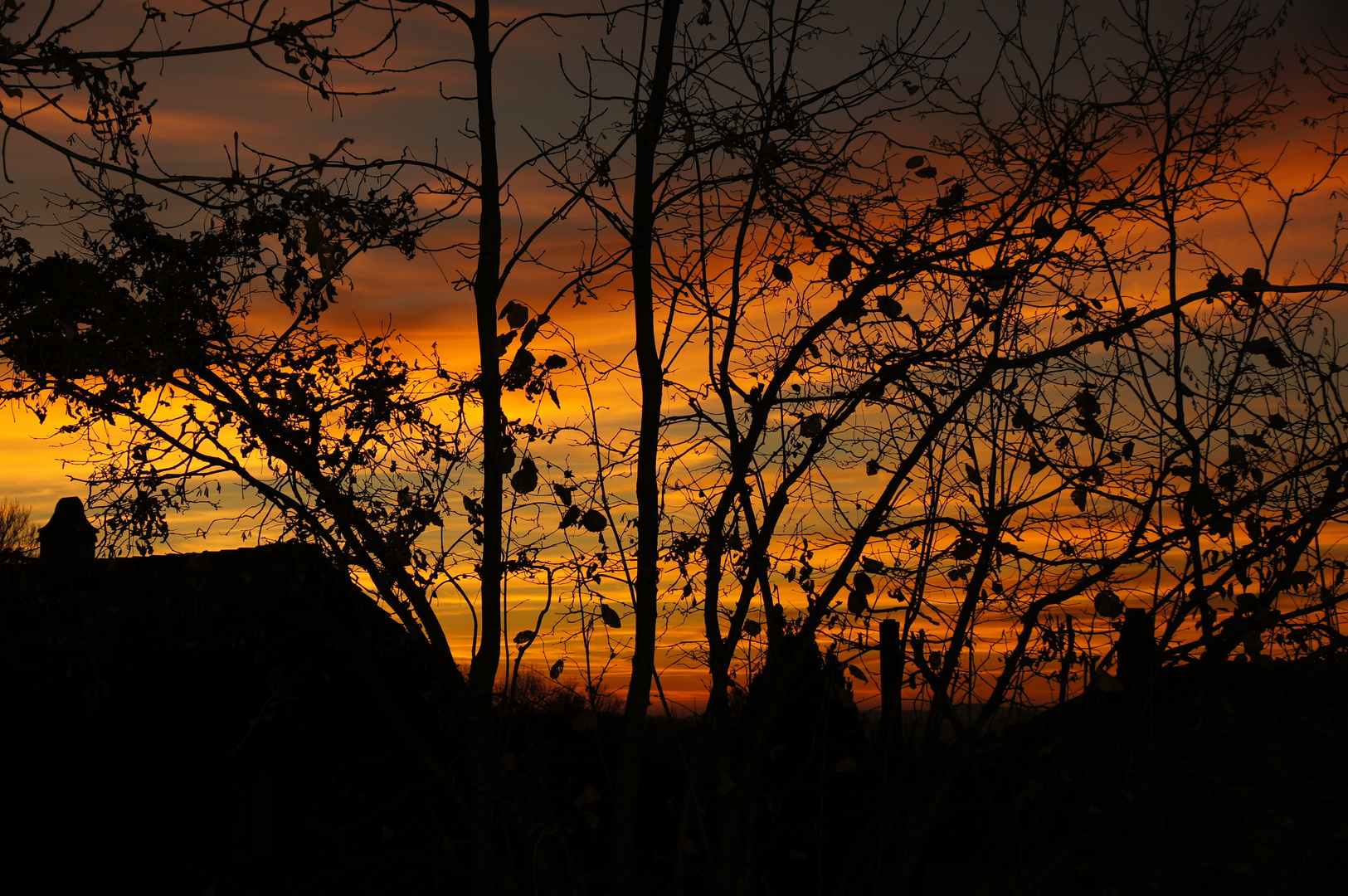 herbstlicher Sonnenuntergang