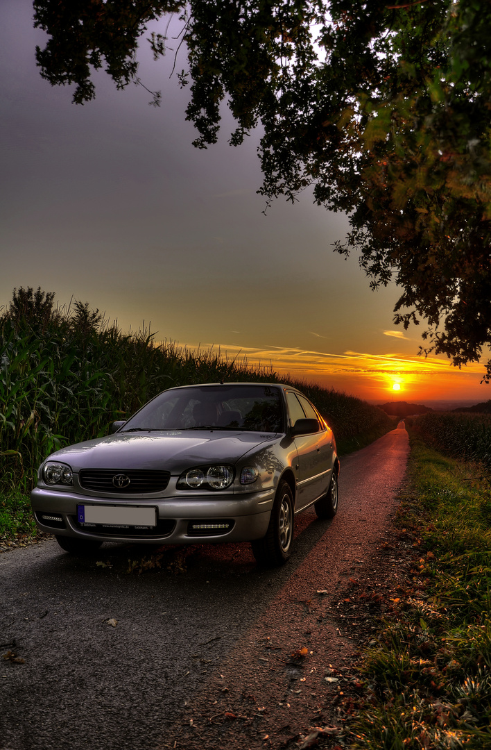 Herbstlicher Sonnenuntergang am Feldweg