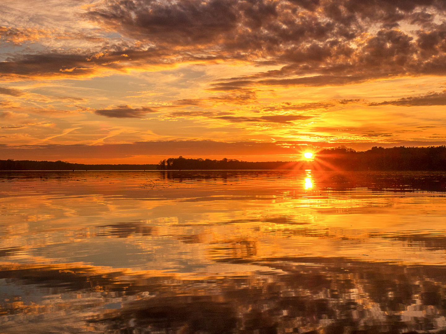 Herbstlicher Sonnenuntergang am Seddinsee1