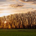 Herbstlicher Sonnenuntergang an der Vils