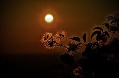 Herbstlicher Sonnenuntergang auf dem Michelsberg