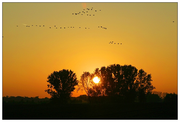 Herbstlicher Sonnenuntergang