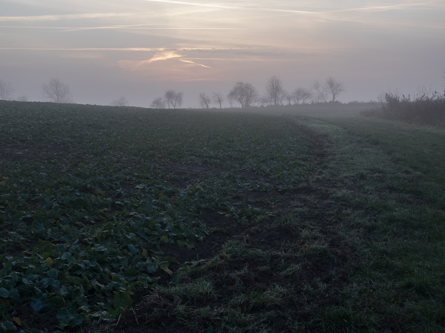 herbstlicher Sonnenuntergang