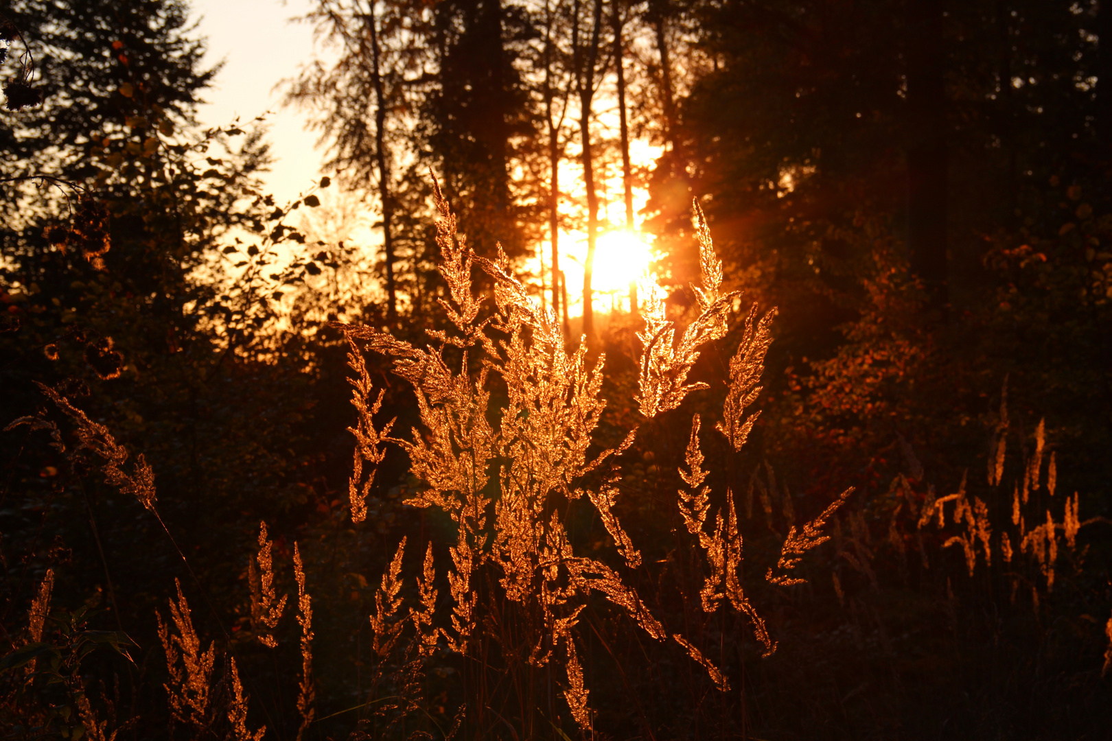 Herbstlicher Sonnenuntergang