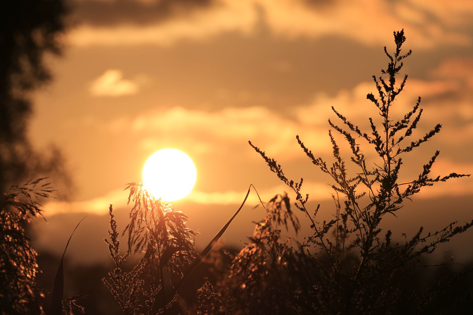 herbstlicher Sonnenuntergang