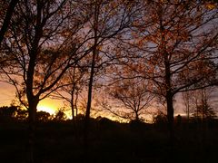 Herbstlicher Sonnenuntergang