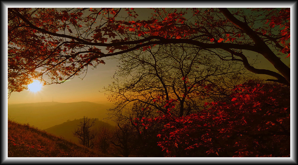 Herbstlicher Sonnenuntergang II