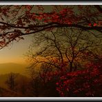 Herbstlicher Sonnenuntergang II