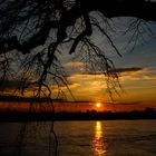 Herbstlicher Sonnenuntergang in Baumberg am Rhein