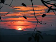 Herbstlicher Sonnenuntergang über dem Solling.