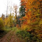 Herbstlicher Sonntagsspaziergang