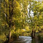 Herbstlicher Spätnachmittag