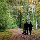 herbstlicher Spaziergang