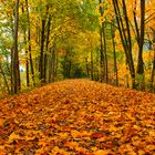 Herbstlicher Spaziergang