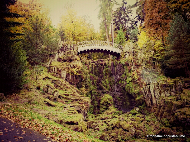 Herbstlicher Spaziergang