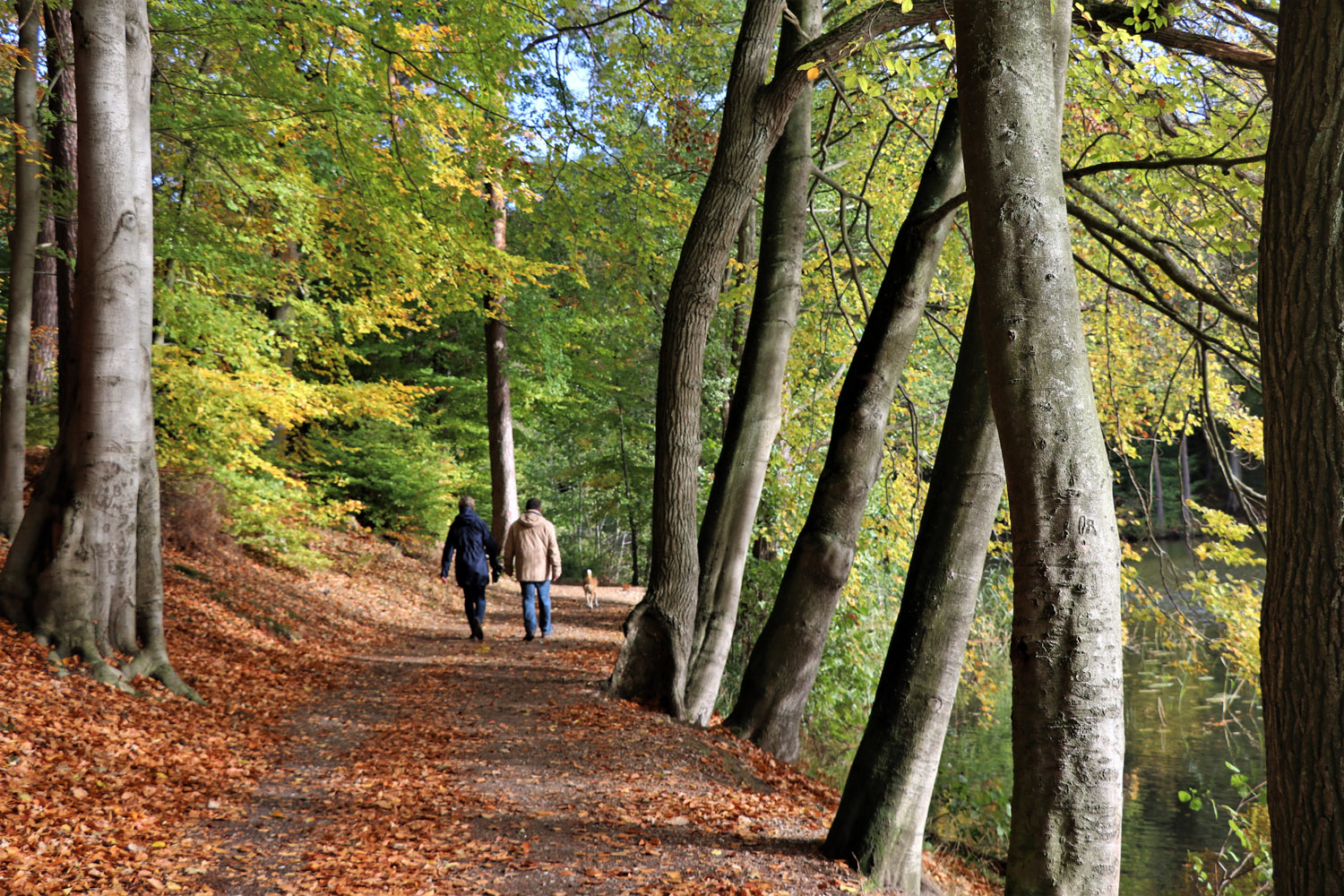 herbstlicher Spaziergang