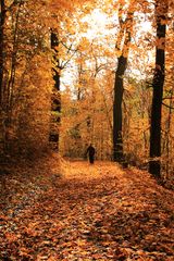 Herbstlicher Spaziergang