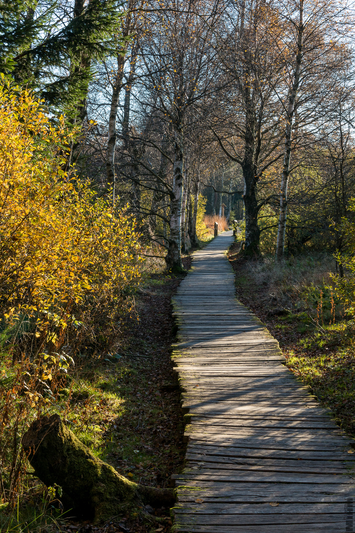 herbstlicher Spaziergang