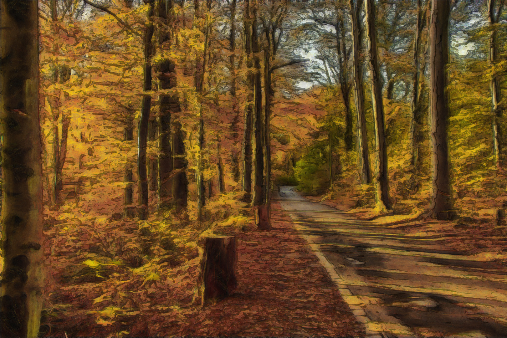 herbstlicher Spaziergang im Wald