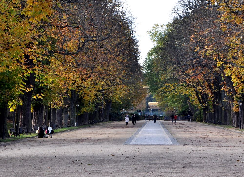 herbstlicher Spaziergang in Bad Homburg