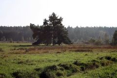 herbstlicher Spaziergang in den Moorwiesen