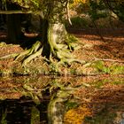 Herbstlicher Spiegel