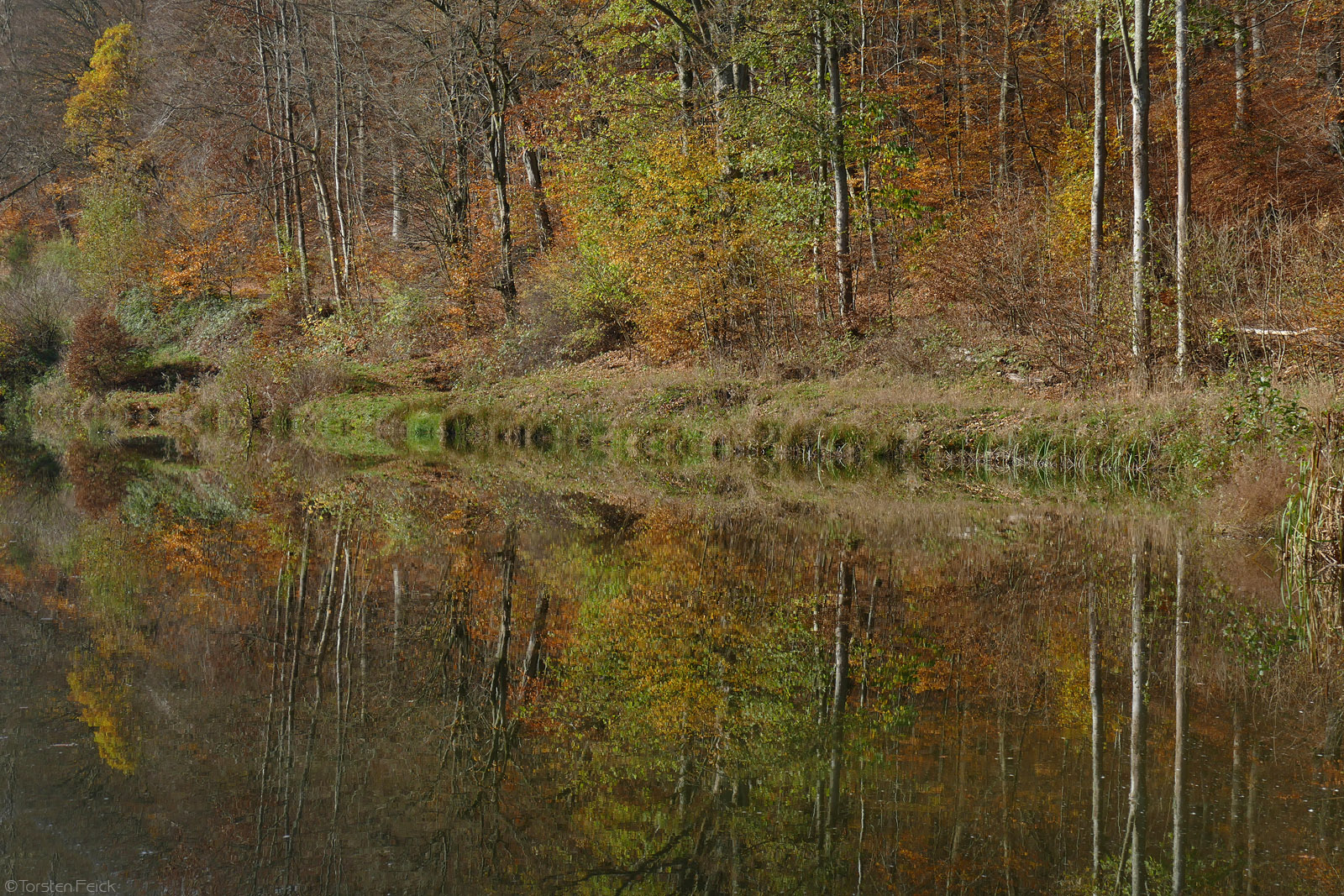 ...herbstlicher Spiegel. 