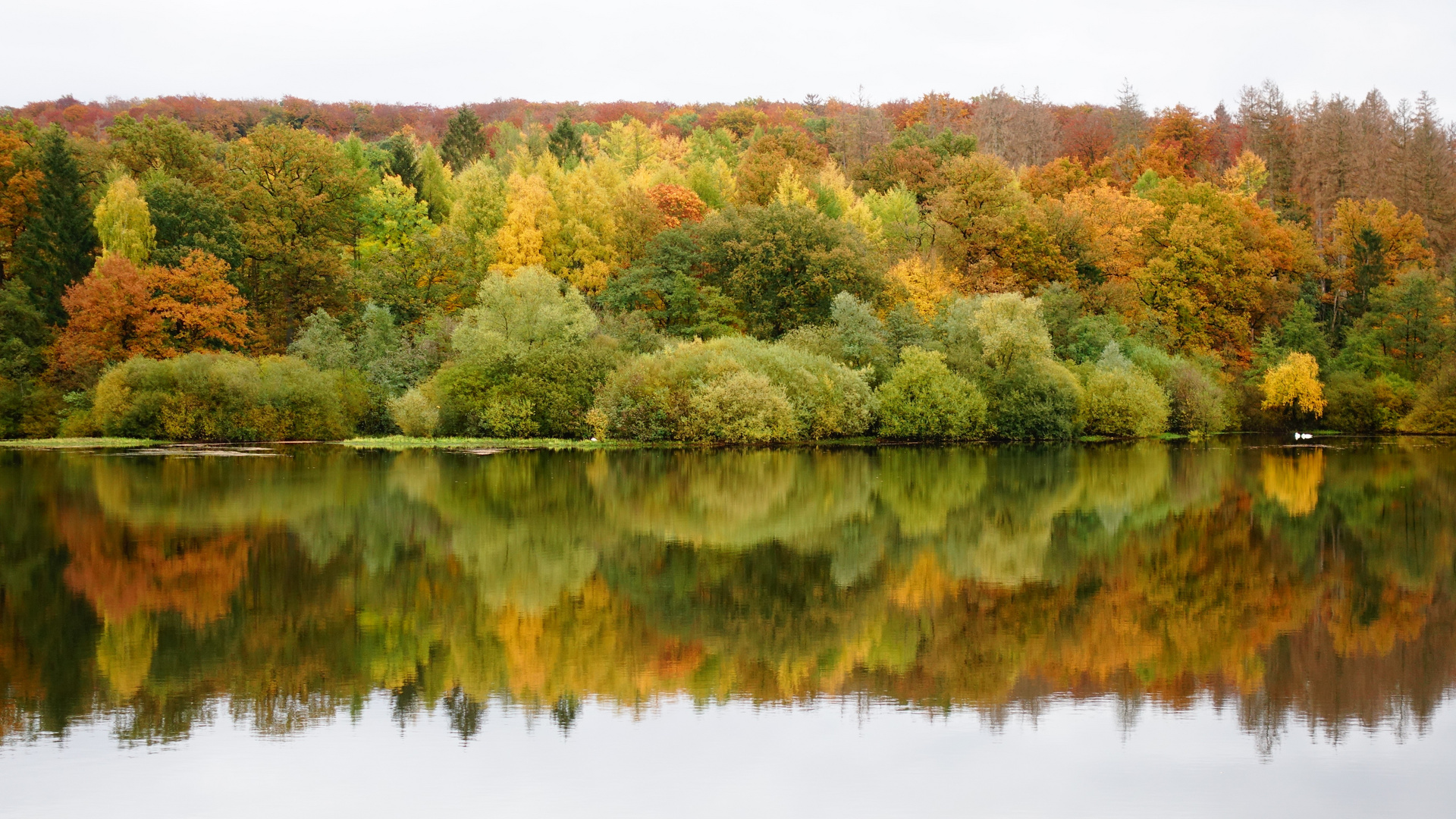 Herbstlicher Spiegel