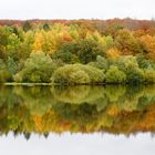 Herbstlicher Spiegel