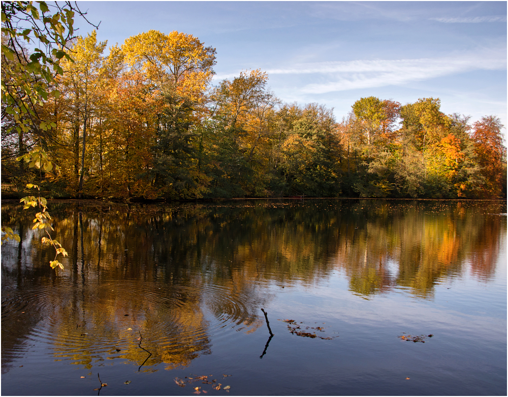 Herbstlicher Spiegel