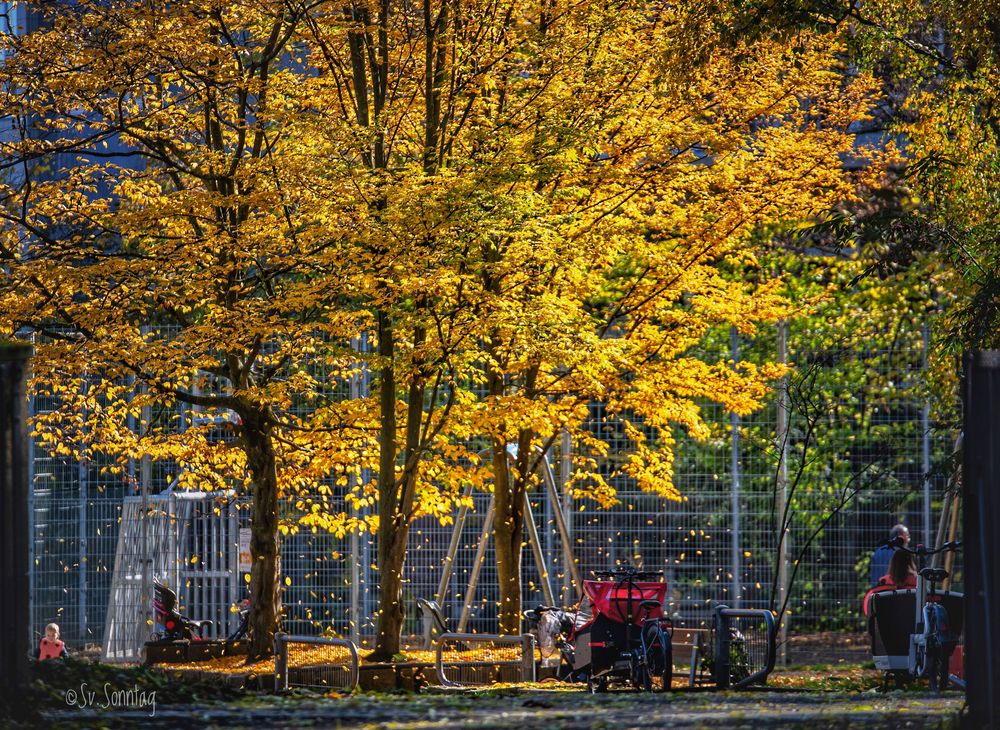 Herbstlicher Spielplatz