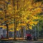 Herbstlicher Spielplatz