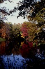 Herbstlicher Spreewald