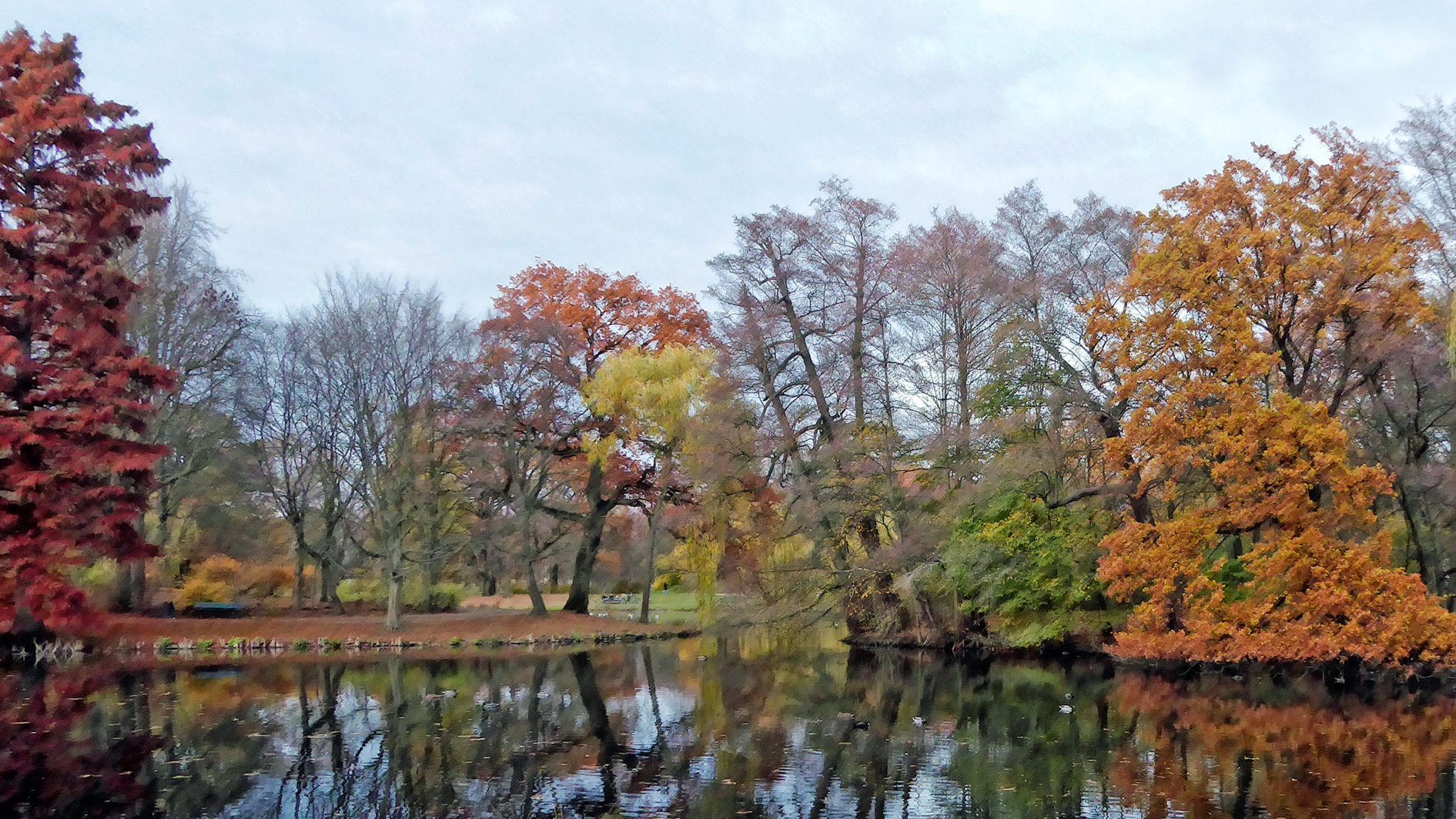 herbstlicher stadtpark / autumn city park / 2018-19