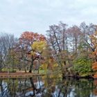 herbstlicher stadtpark / autumn city park / 2018-19