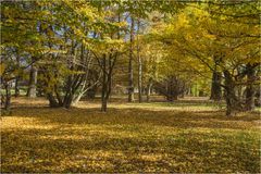 Herbstlicher Stadtpark...