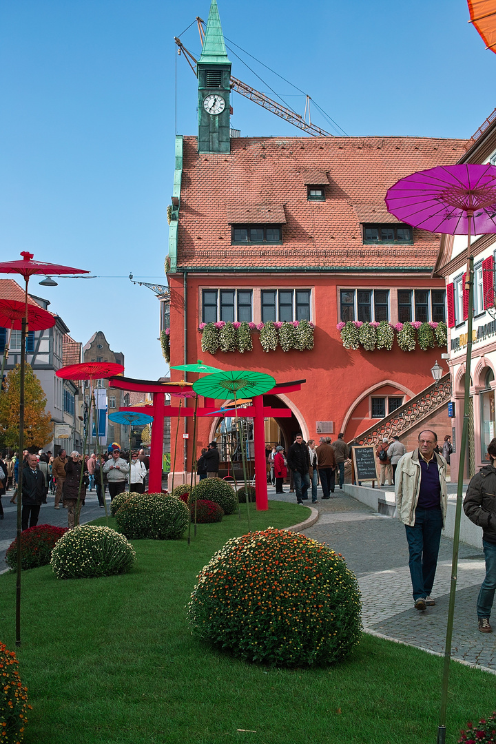 herbstlicher Stadtspaziergang