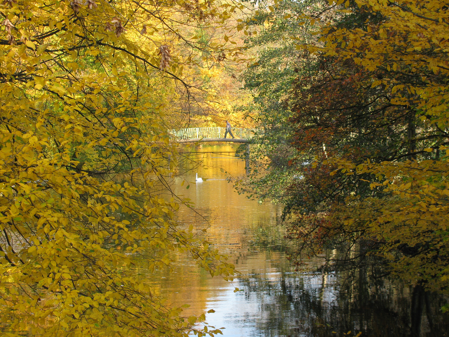 ..herbstlicher Stadtwald"