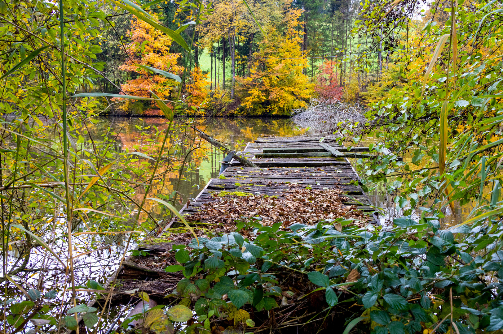 herbstlicher Steg