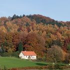 herbstlicher südhang von tecklenburg