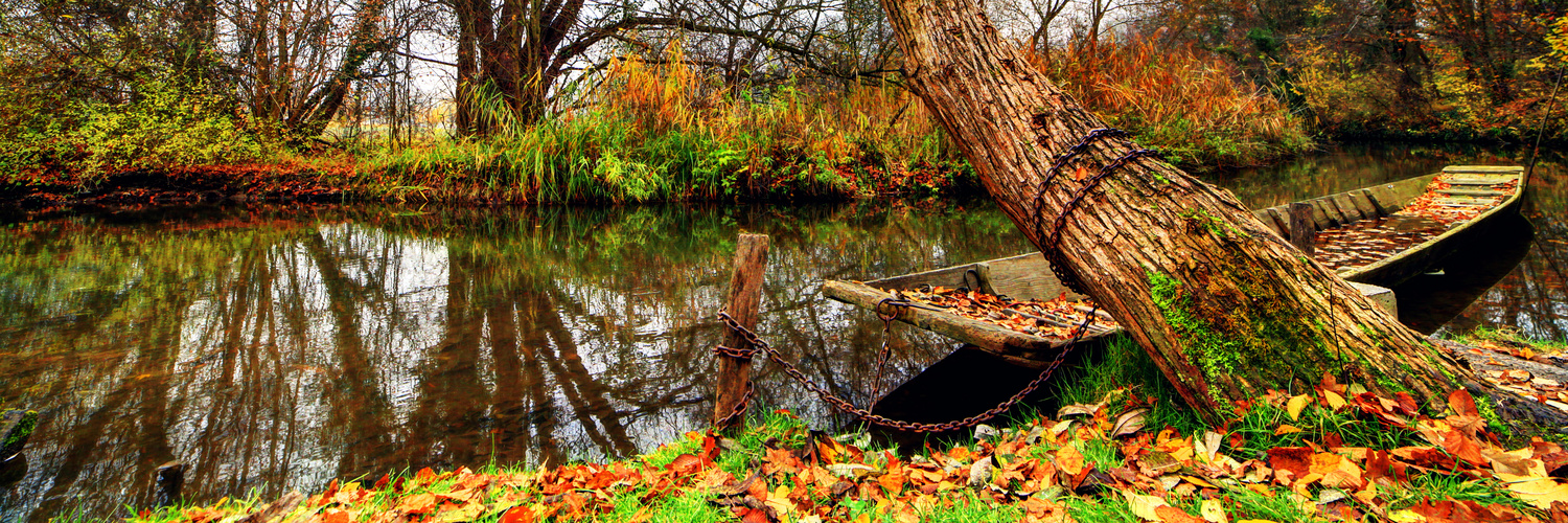 Herbstlicher Taubergießen