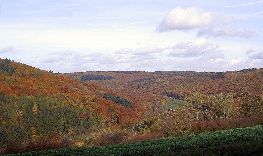 Herbstlicher Taunus