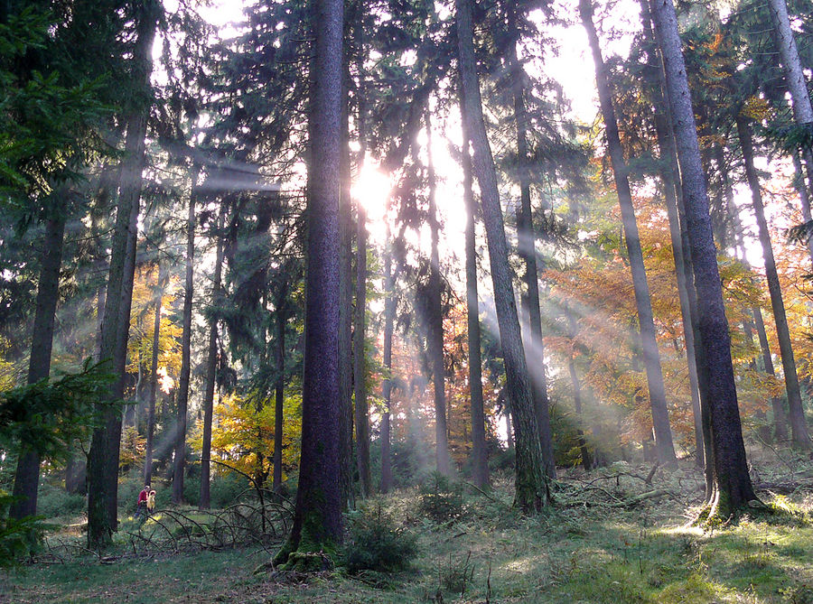 ...herbstlicher Taunus...01...