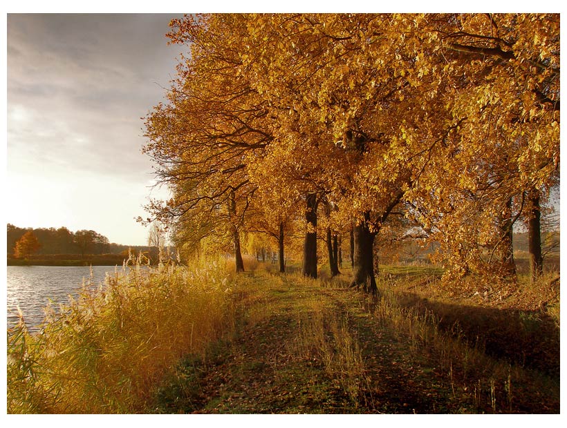 Herbstlicher Teich!