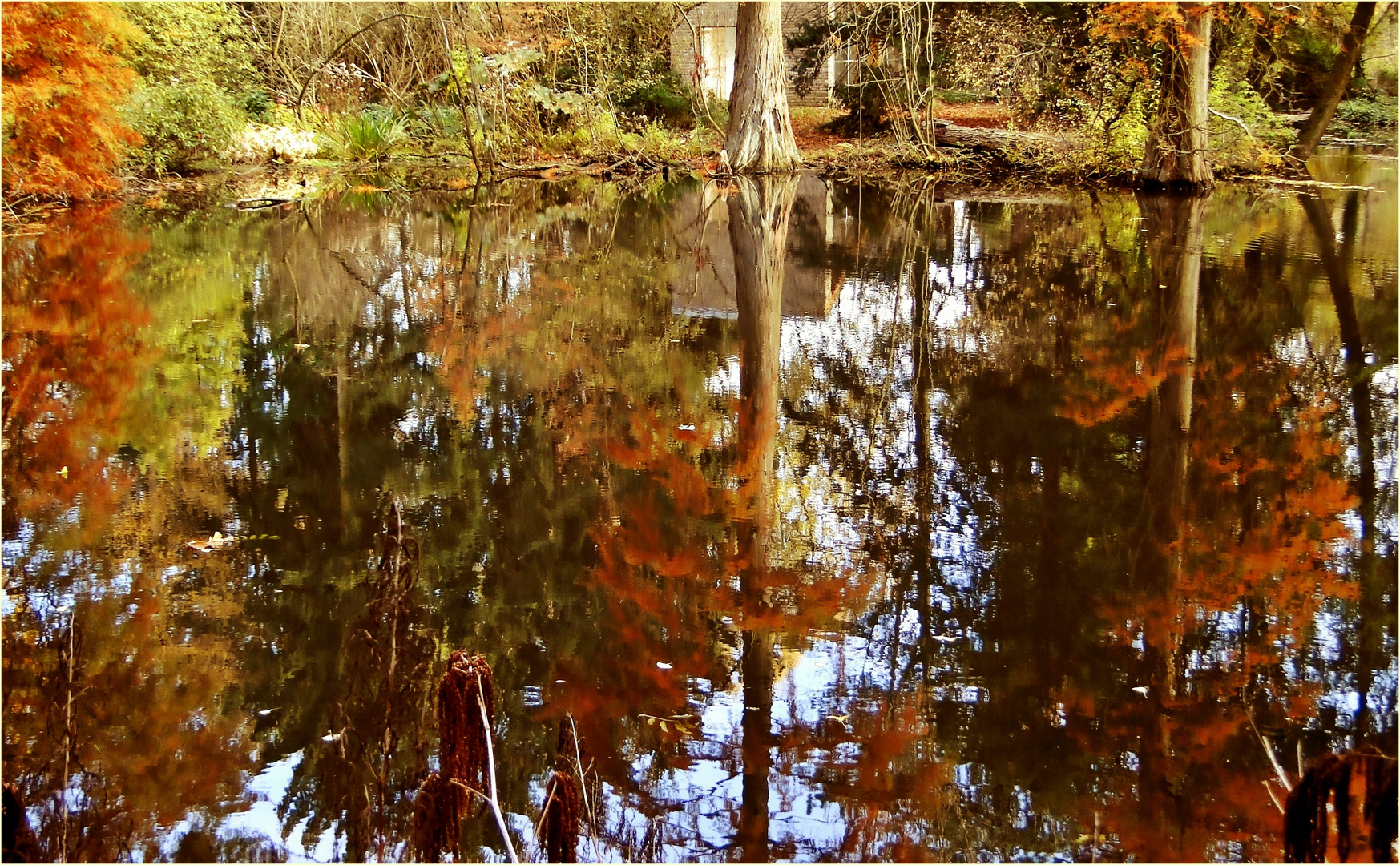 Herbstlicher Teich