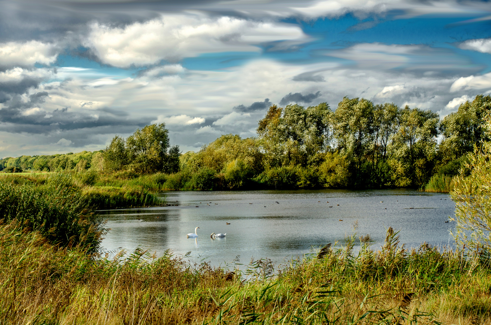 Herbstlicher Teich in Hechthause/Laumühlen