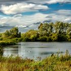 Herbstlicher Teich in Hechthause/Laumühlen