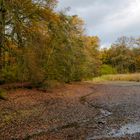 Herbstlicher Teichblick